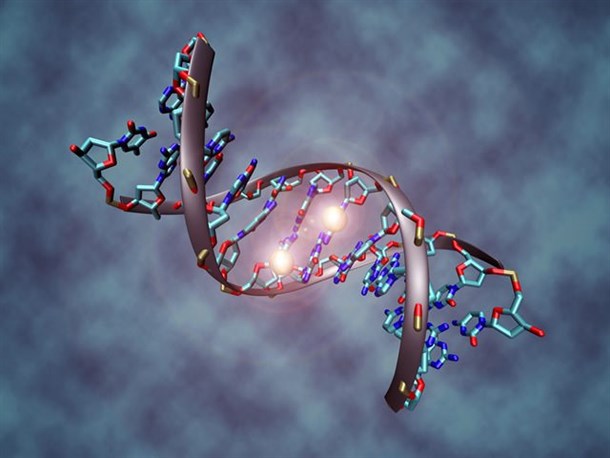 DNA_methylation צילום אתר "ויקפידיה"