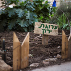 Renovation of the Davidka Garden by the “Kehilla Lemaan” initiative| 22 Mar, 2016